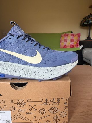 Zapatillas Nike Wildhorse 10