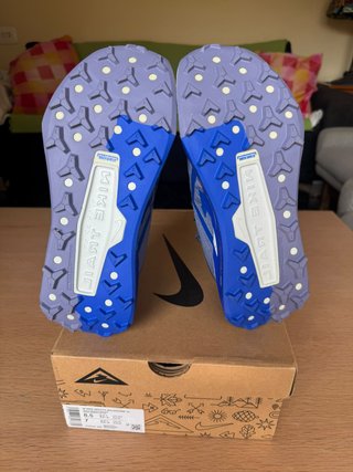 Zapatillas Nike Wildhorse 10