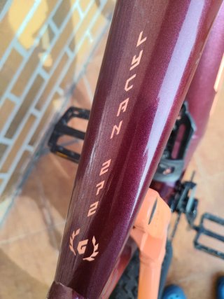 Bicicleta Eléctrica KTM Macina Lycan  Glorious 272