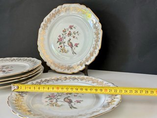 🇫🇷 Set 6 Platos Llanos Vintage Porcelana