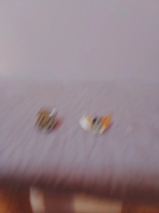 Accesorios de motero