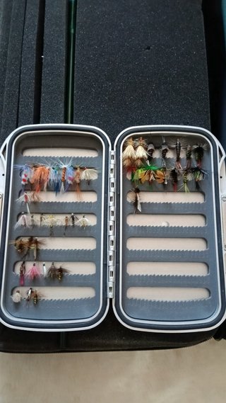 Caña de Pescar con Mosca y Accesorios