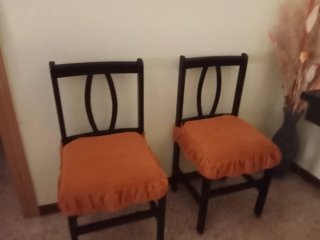 Juego de 2 sillas de comedor
