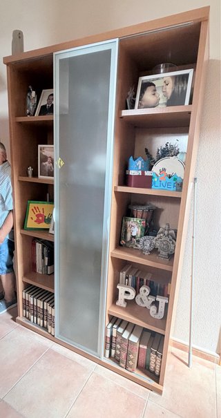 Estantería de Madera con Puerta de Cristal
