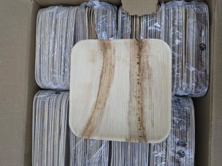 Platos Hojas Palma 15x15cm (200 uds)