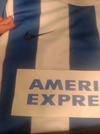 Camiseta Brighton & Hove Albion Nike