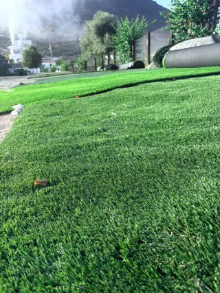 Césped Artificial