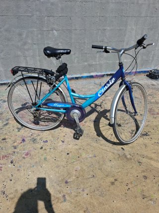 Bicicleta de Paseo revisada y regulada