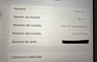 iPad 8ª Gen Oro Rosa 32GB Wifi