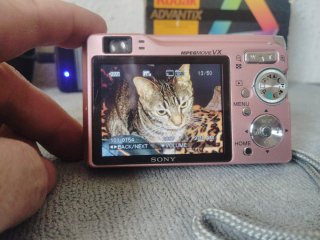 Sony Cybershot DSC-W80 Cámara Digital Rosa