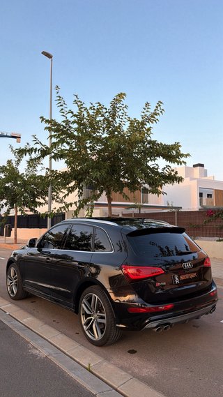 Audi SQ5 2014