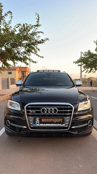 Audi SQ5 2014