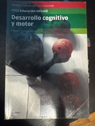Desarrollo cognitivo y motor Educación infantil