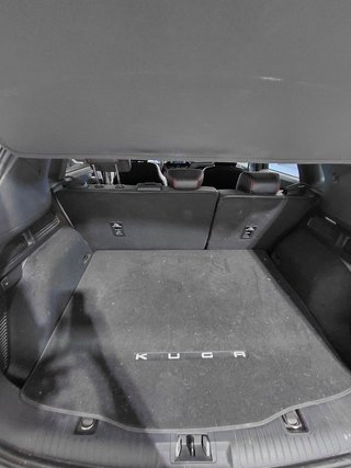 Ford Kuga 2022