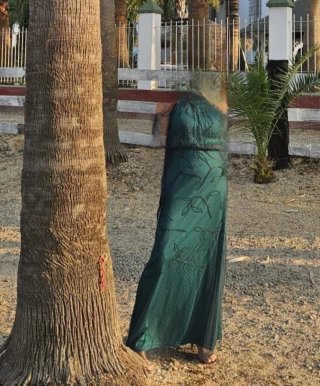 Vestido de Fiesta Verde