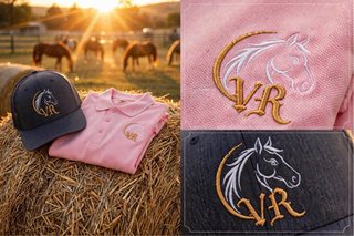 Lote Ropa: Sudadera, Gorras y Polos
