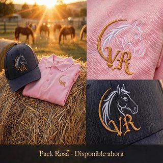 Lote Ropa: Sudadera, Gorras y Polos