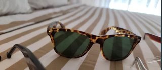Lote de 5 Gafas de Sol