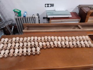 Lote de 59 Husillos de Madera