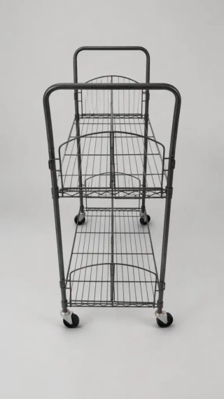 Carro transportador