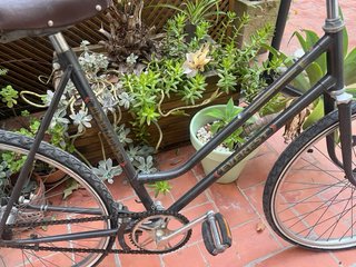 Bicicleta Urbana Everest. Con sillín de piel.