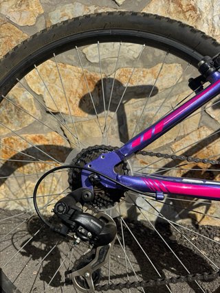 Bicicleta Bpro Aluminio Mujer