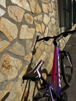 Bicicleta Bpro Aluminio Mujer