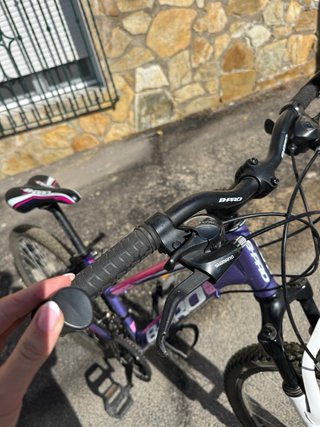 Bicicleta Bpro Aluminio Mujer
