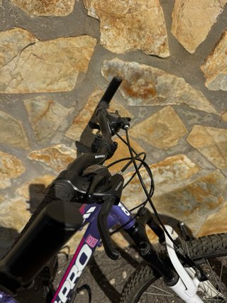 Bicicleta Bpro Aluminio Mujer