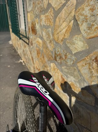 Bicicleta Bpro Aluminio Mujer