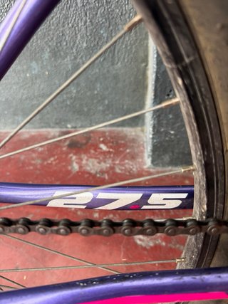 Bicicleta Bpro Aluminio Mujer