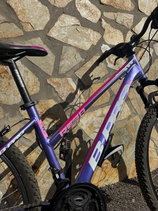 Bicicleta Bpro Aluminio Mujer