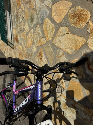 Bicicleta Bpro Aluminio Mujer