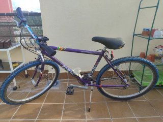 Bicicleta de Montaña Romani Morada