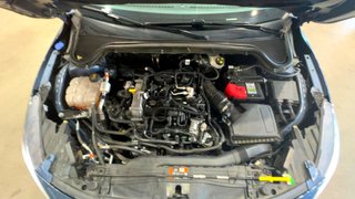 Ford FOCUS 1.0 Ecoboost MHEV 92kW Active X SB (2024)