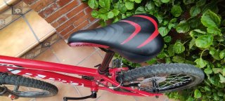 Bicicleta Infantil 20 pulgadas B-Pro