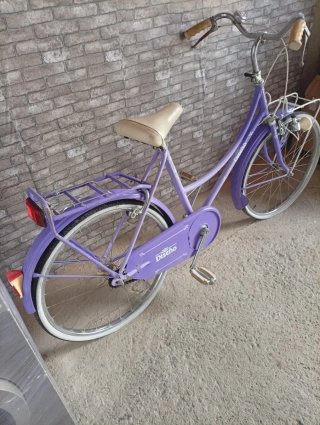 Bicicleta de Paseo Vintage Color Lila