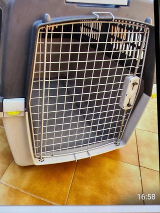Transportin perro grande. NO hago envios