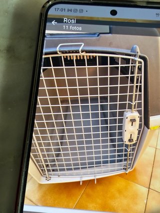 Transportin perro grande. NO hago envios