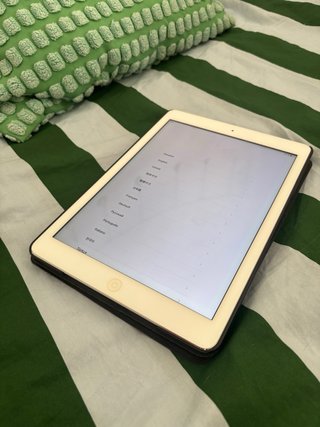 iPad Air 2 argento con custodia