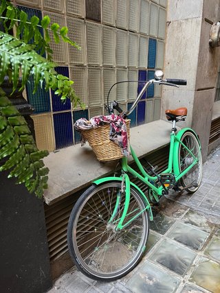 Bicicleta Urbana Vintage Estilo Holandés Verde