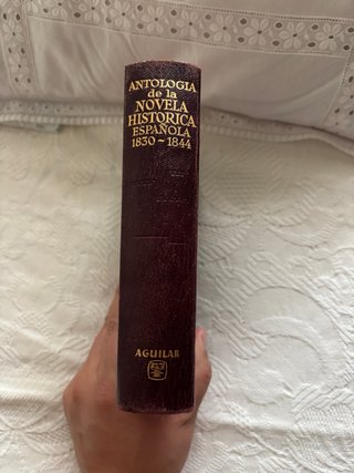 Antologia DE LA NOVELA HISTORICA Española