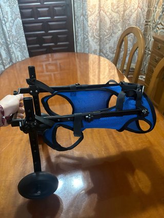 Silla de Ruedas para Perro