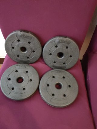 Set de 4 Discos de Pesas 1,25kg cada una.