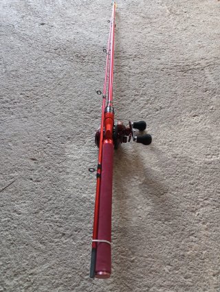 Caña de pescar casting roja