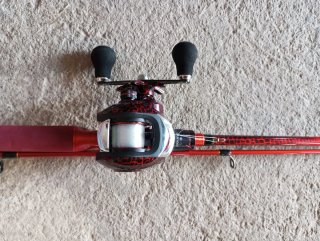 Caña de pescar casting roja