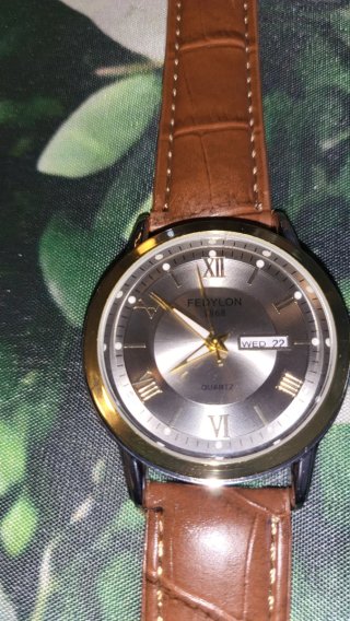 Reloj FEDYLON Marrón y Dorado