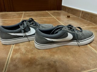 Zapatillas Nike SB Satire II Grises