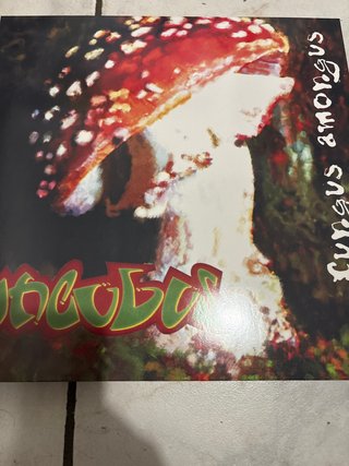 Vinile Incubus - Fungus Amongus