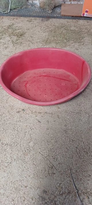 Cama para Perros Roja